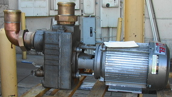 TEEL 3P705 3HP High Volume Self Priming Centrifugal Liquid